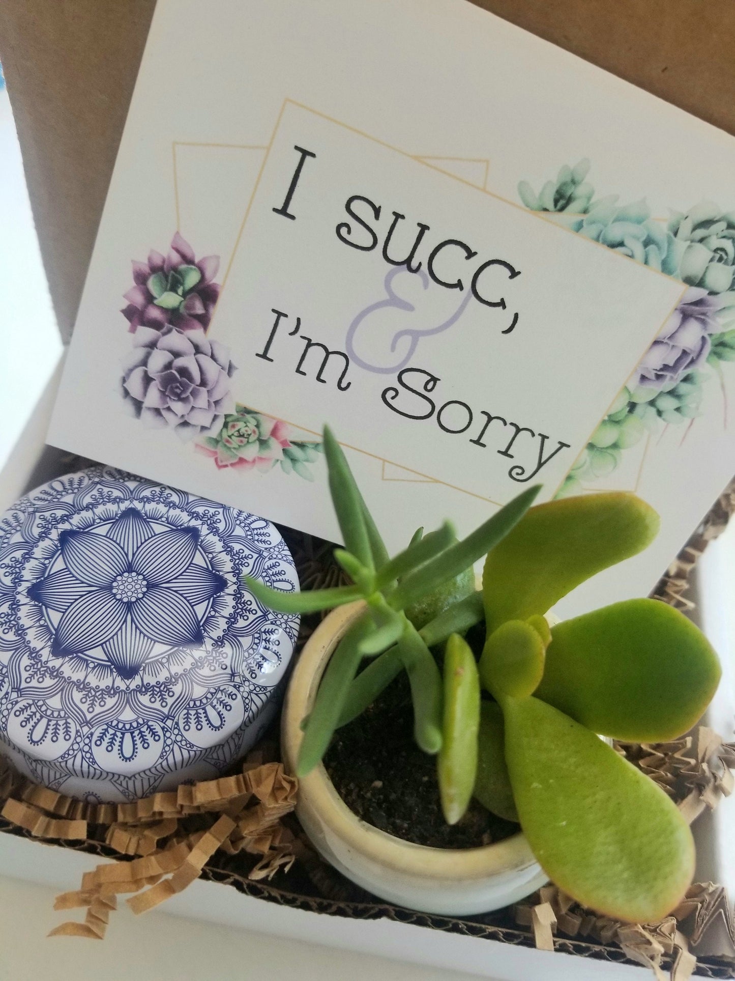 I Succ - I'm sorry - mini gift set. send an apology gift