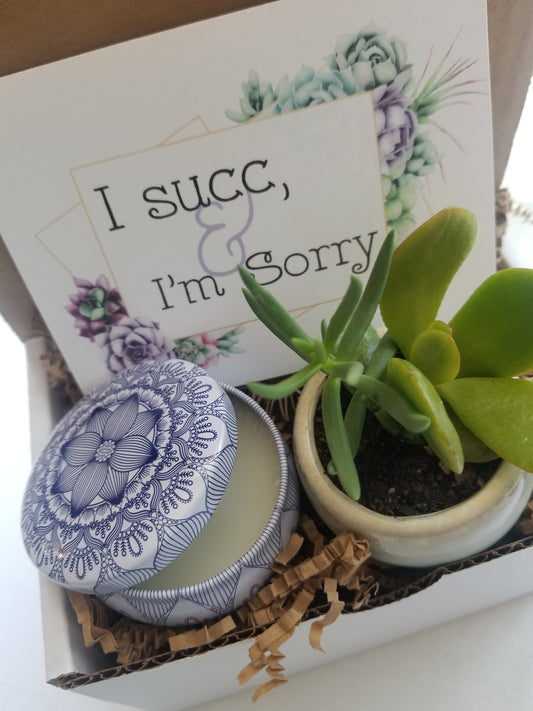 I Succ - I'm sorry - mini gift set. send an apology gift