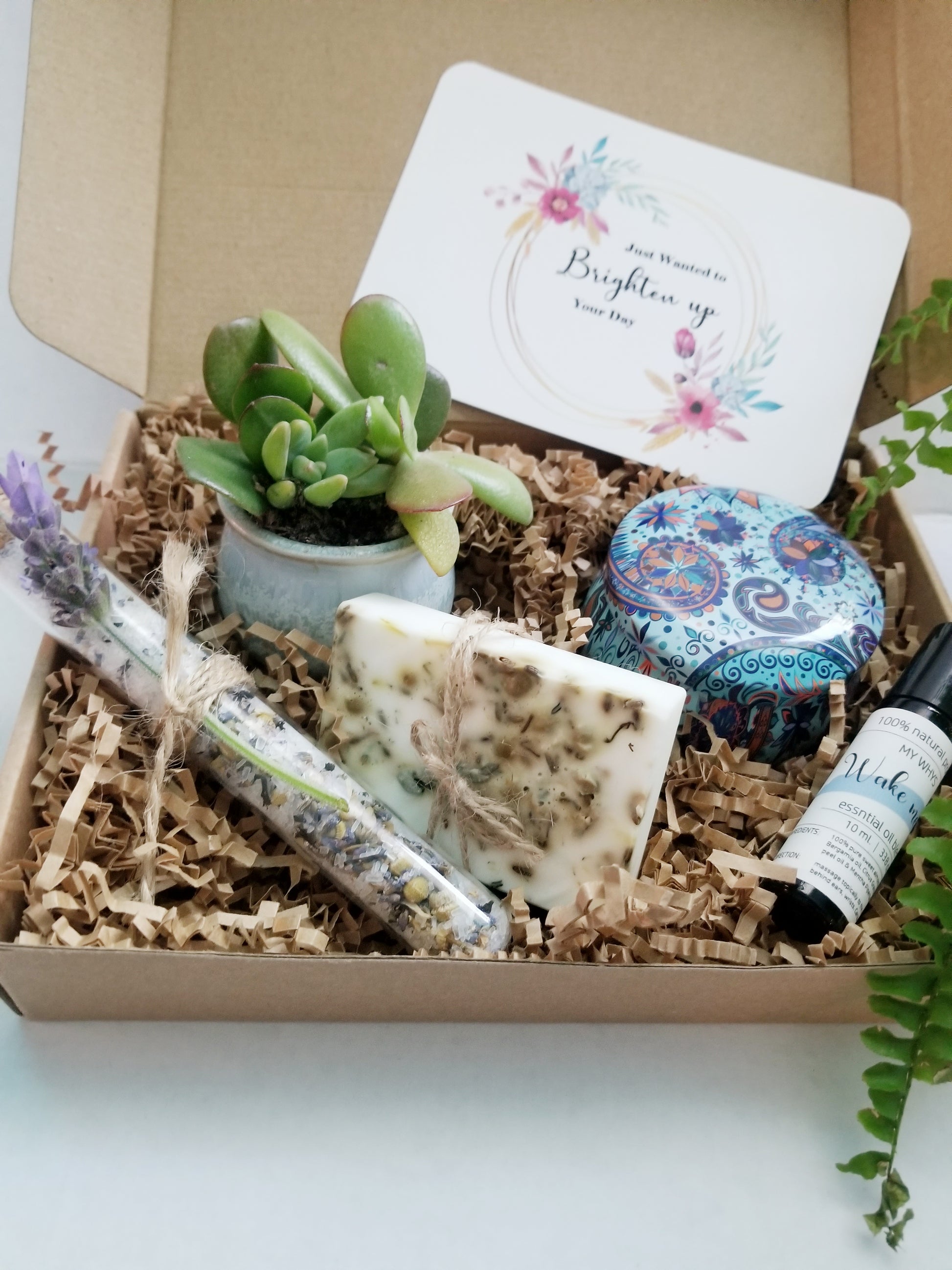 succulent care package Just wanted to Brighten up your day