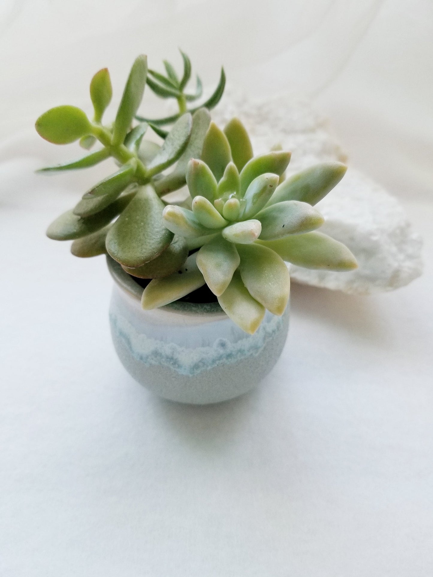 Send a Thank you gift set - mini succulent, Turquoise earrings & bracelet