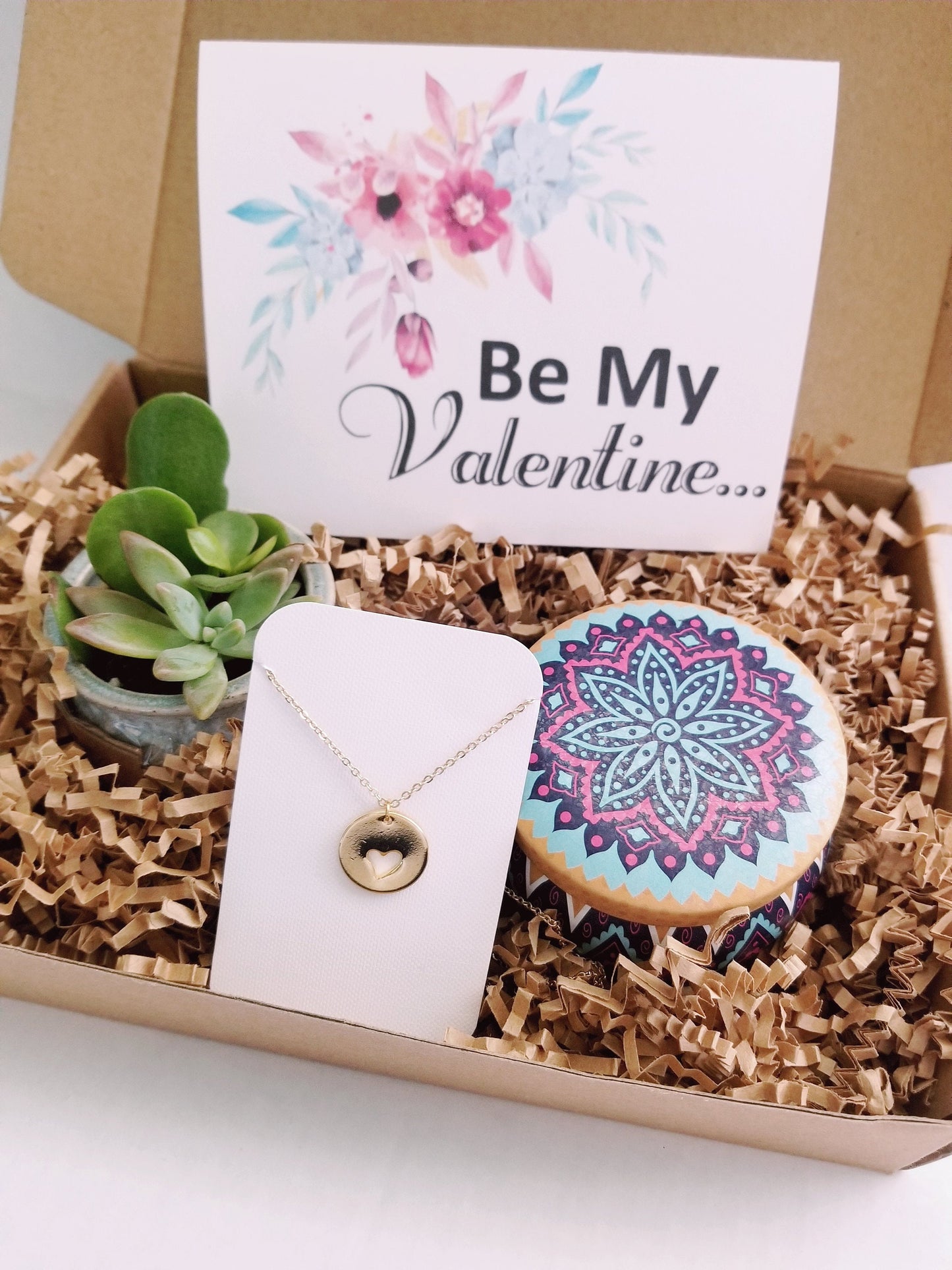 Be my Valentine gift set, Live succulent, Valentine's day gift, heart necklace