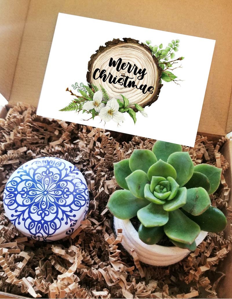 live succulent gift box Christmas gift set, mini succulent gift, Holidays gift package Add silver cuff