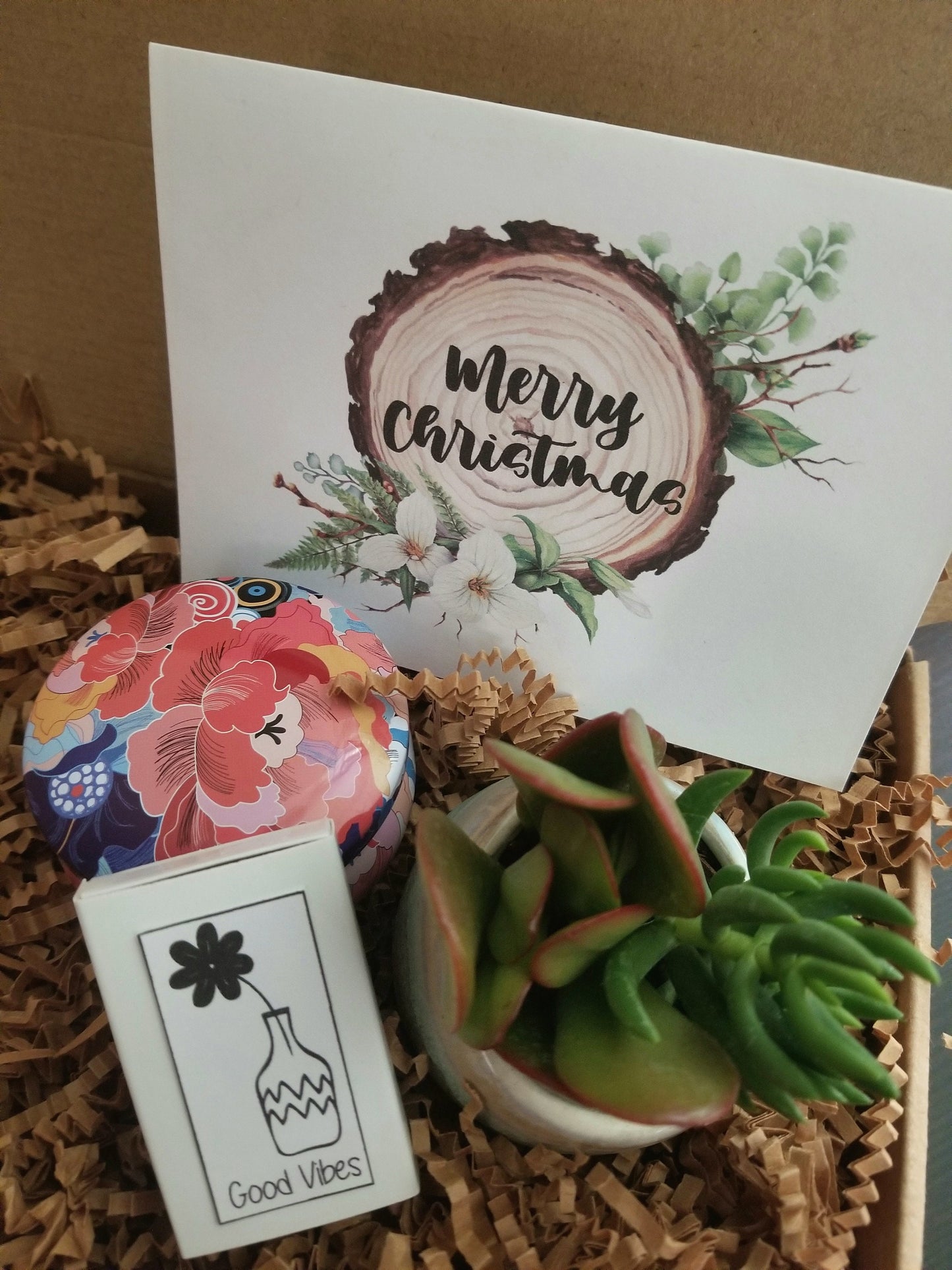 Ensemble cadeau de Noël, mini cadeau succulent, paquet cadeau des Fêtes