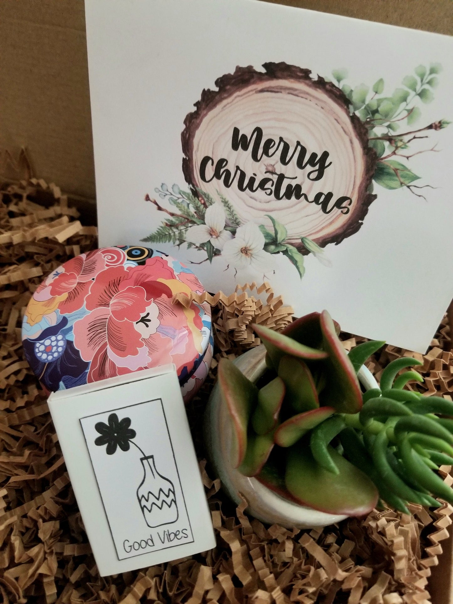 Christmas gift set, mini succulent gift, Holidays gift package