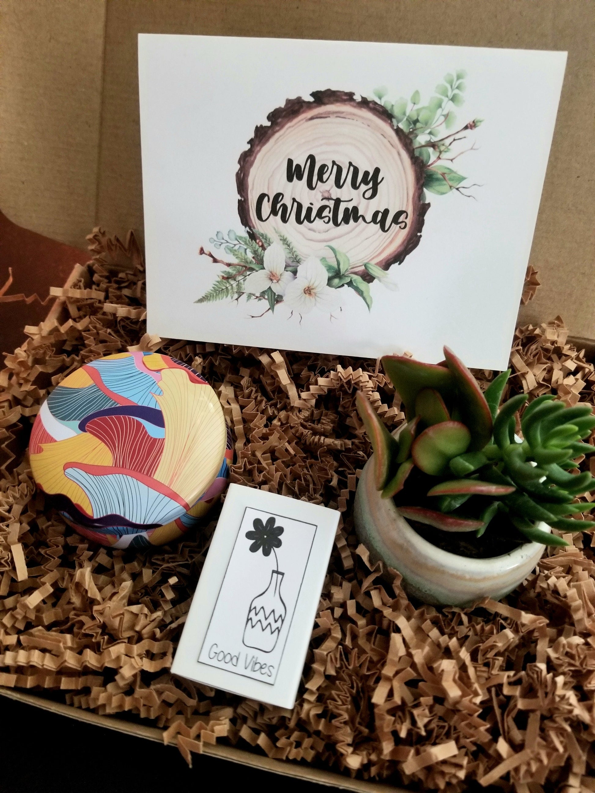 christmas gift succulent Christmas gift set, mini succulent gift, Holidays gift package Add silver cuff