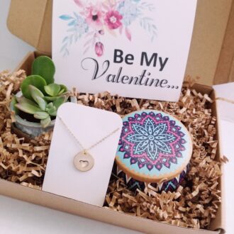 Be my Valentine gift box, Valentines day gift set, Live succulent gift, Valentine gift for her/wife/girlfriend, heart necklace, love jewelry