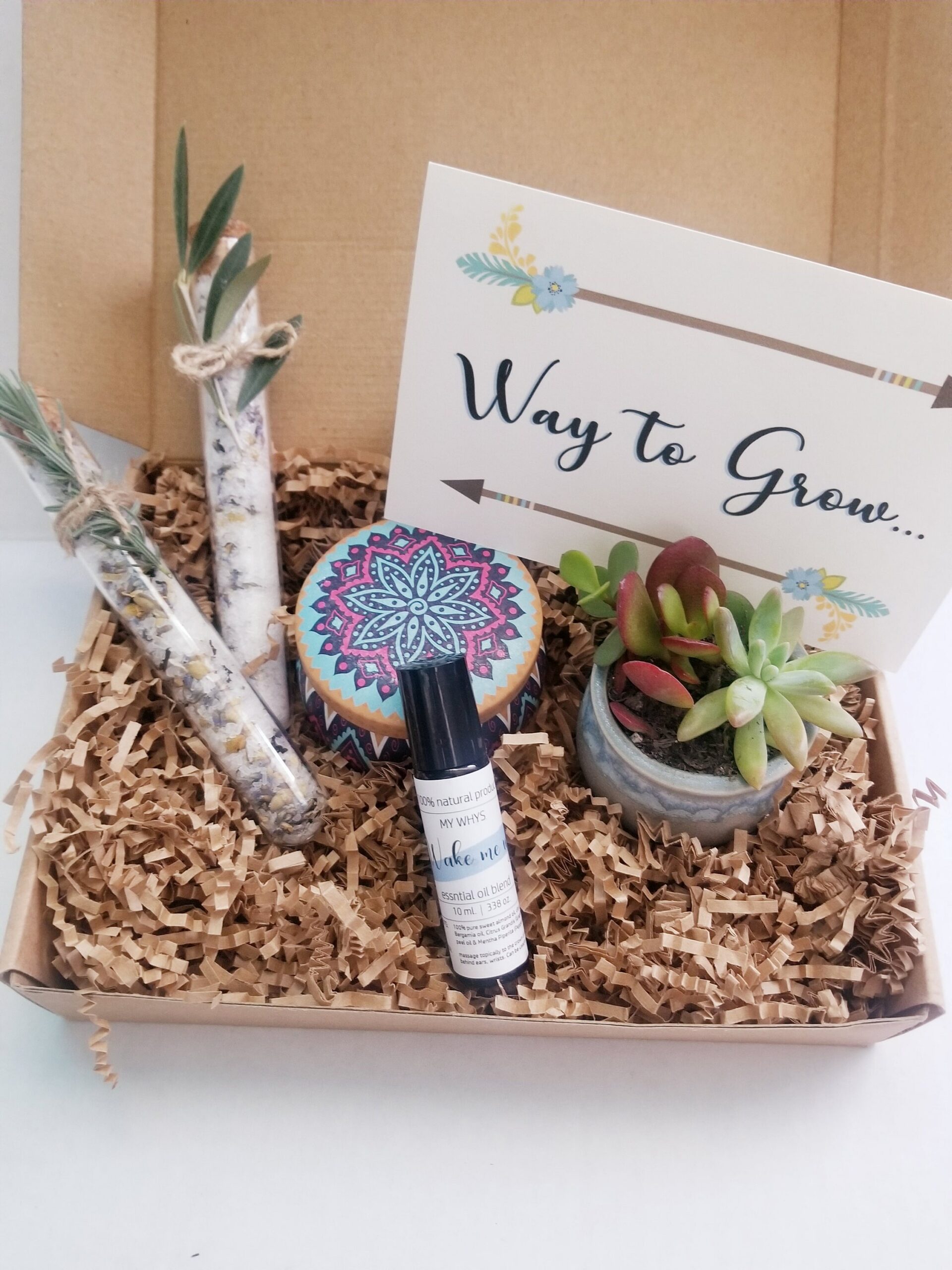 Way to Grow congratulation gift box, Send a gift, care package, live succulent gift, turquoise earrings, birthday gift, friendship gift set