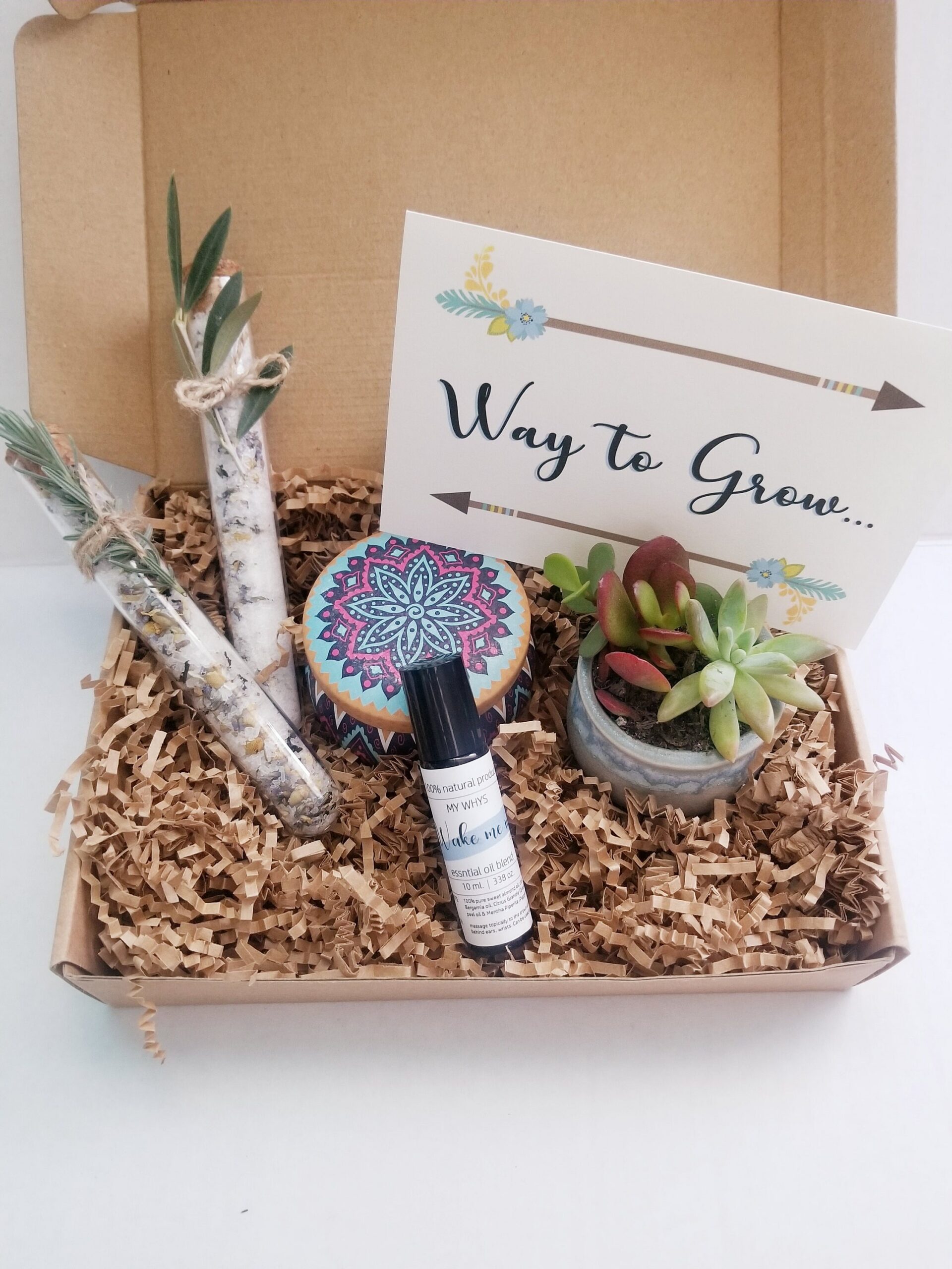 Way to Grow congratulation gift box, Send a gift, care package, live succulent gift, turquoise earrings, birthday gift, friendship gift set
