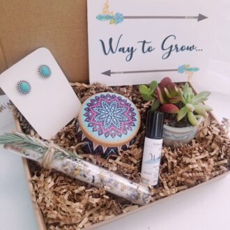 Way to Grow congratulation gift box, Send a gift, care package, live succulent gift, turquoise earrings, birthday gift, friendship gift set