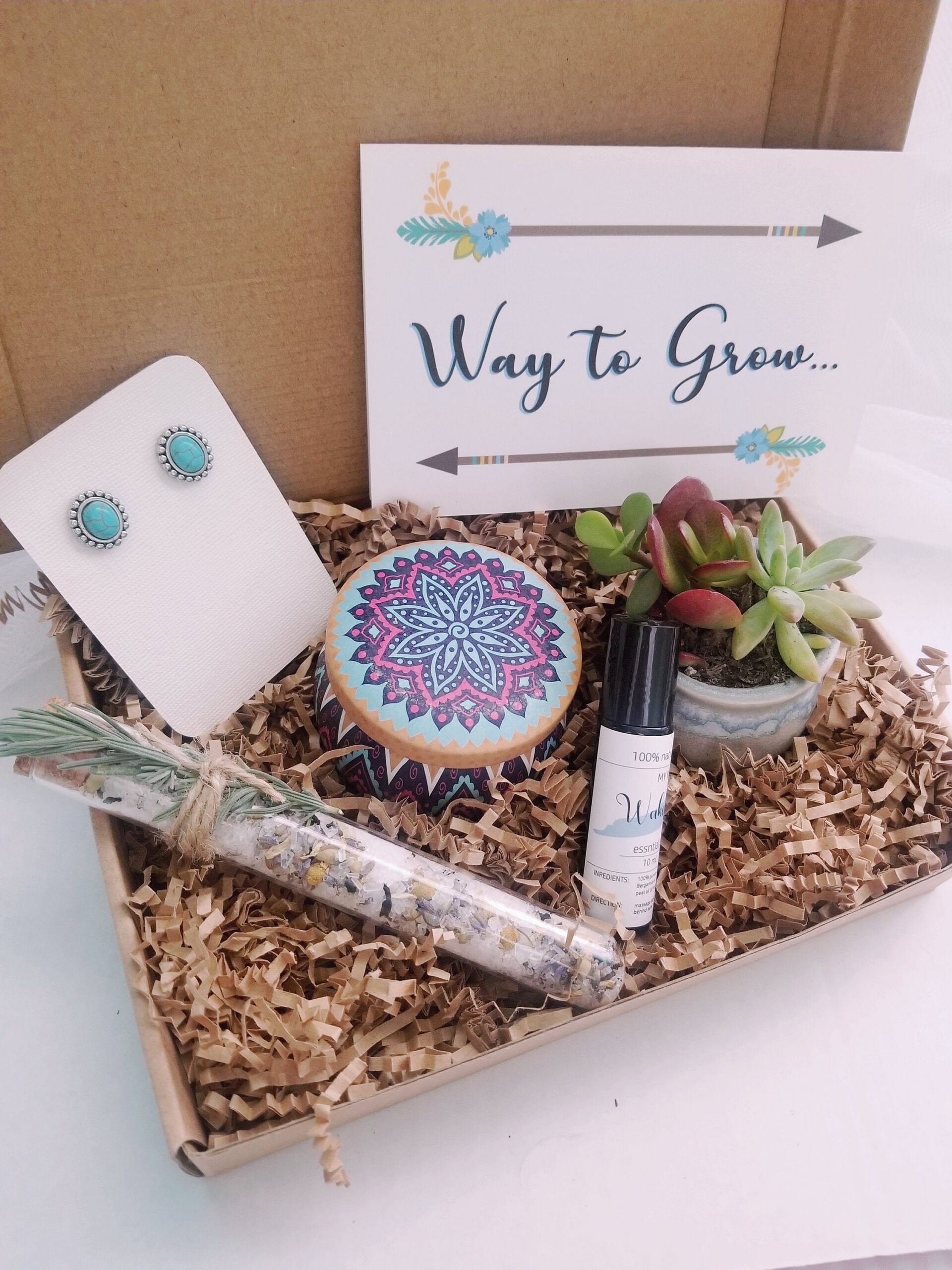 Way to Grow congratulation gift box, Send a gift, care package, live succulent gift, turquoise earrings, birthday gift, friendship gift set
