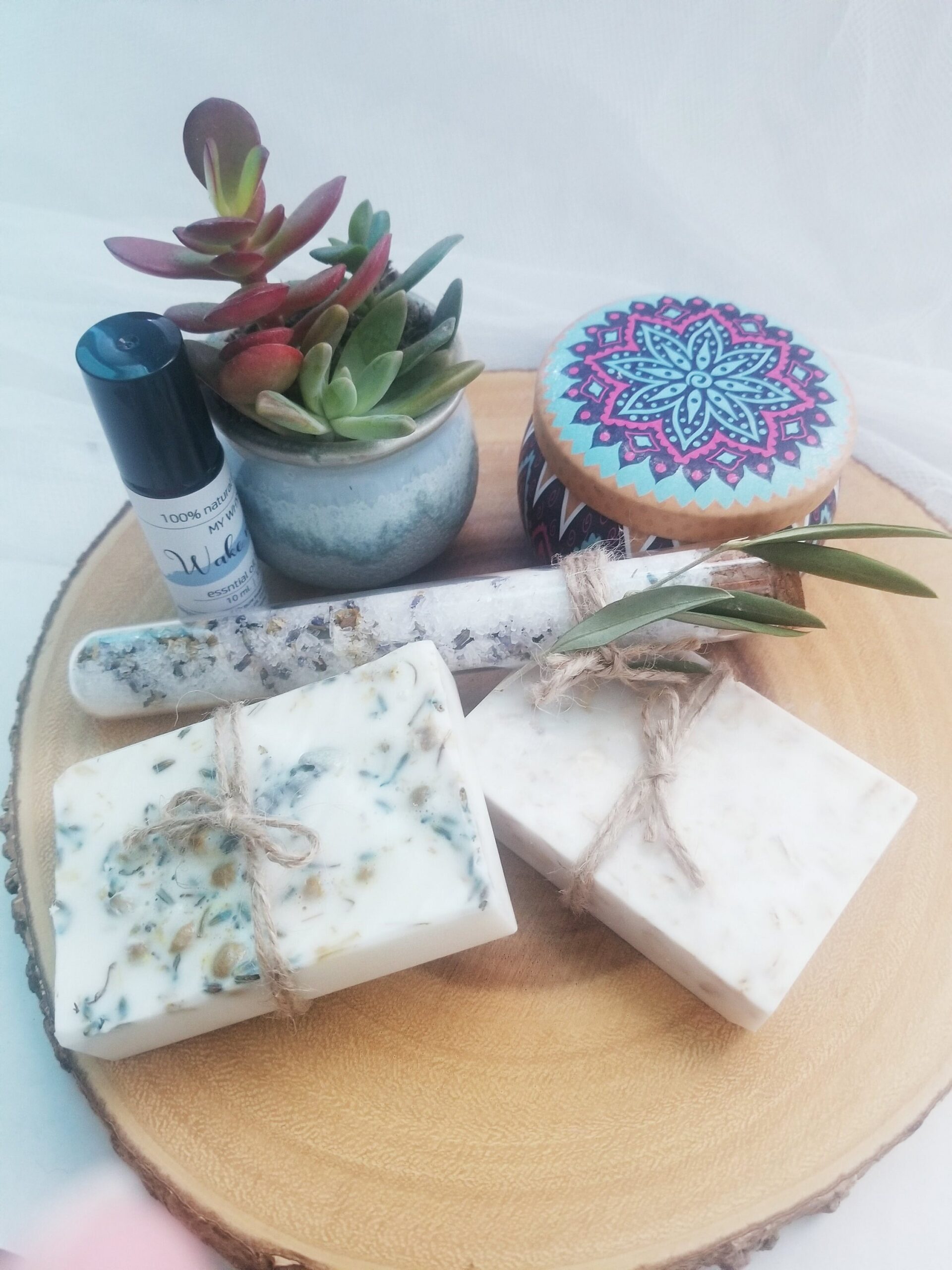 Birthday gift box, natural spa basket, send a care package, live succulent gift box, gift for mom, 100% natural soap products, spa gift set