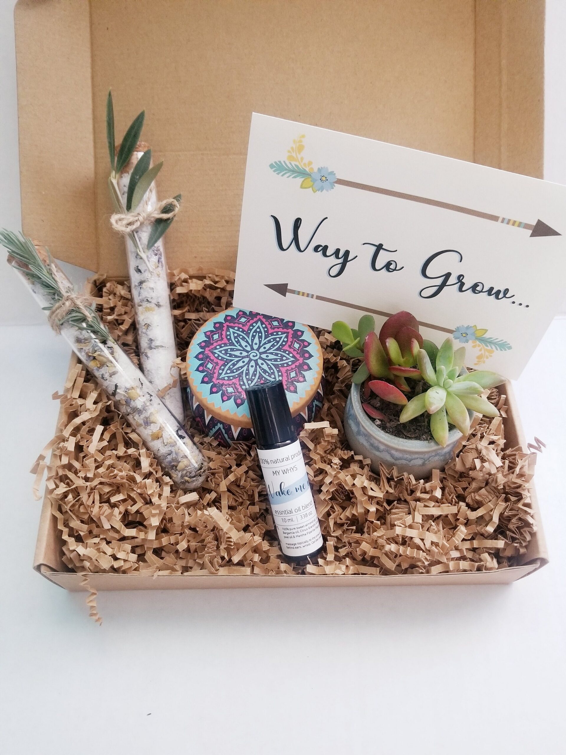 Way to Grow congratulation gift box, Send a gift, care package, live succulent gift, turquoise earrings, birthday gift, friendship gift set