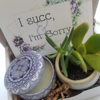 I Succ – I’m sorry mini gift box. send an apology gift, live succulent, I’m sorry gift, regret gift, I succ gift, sorry I messed up gift.