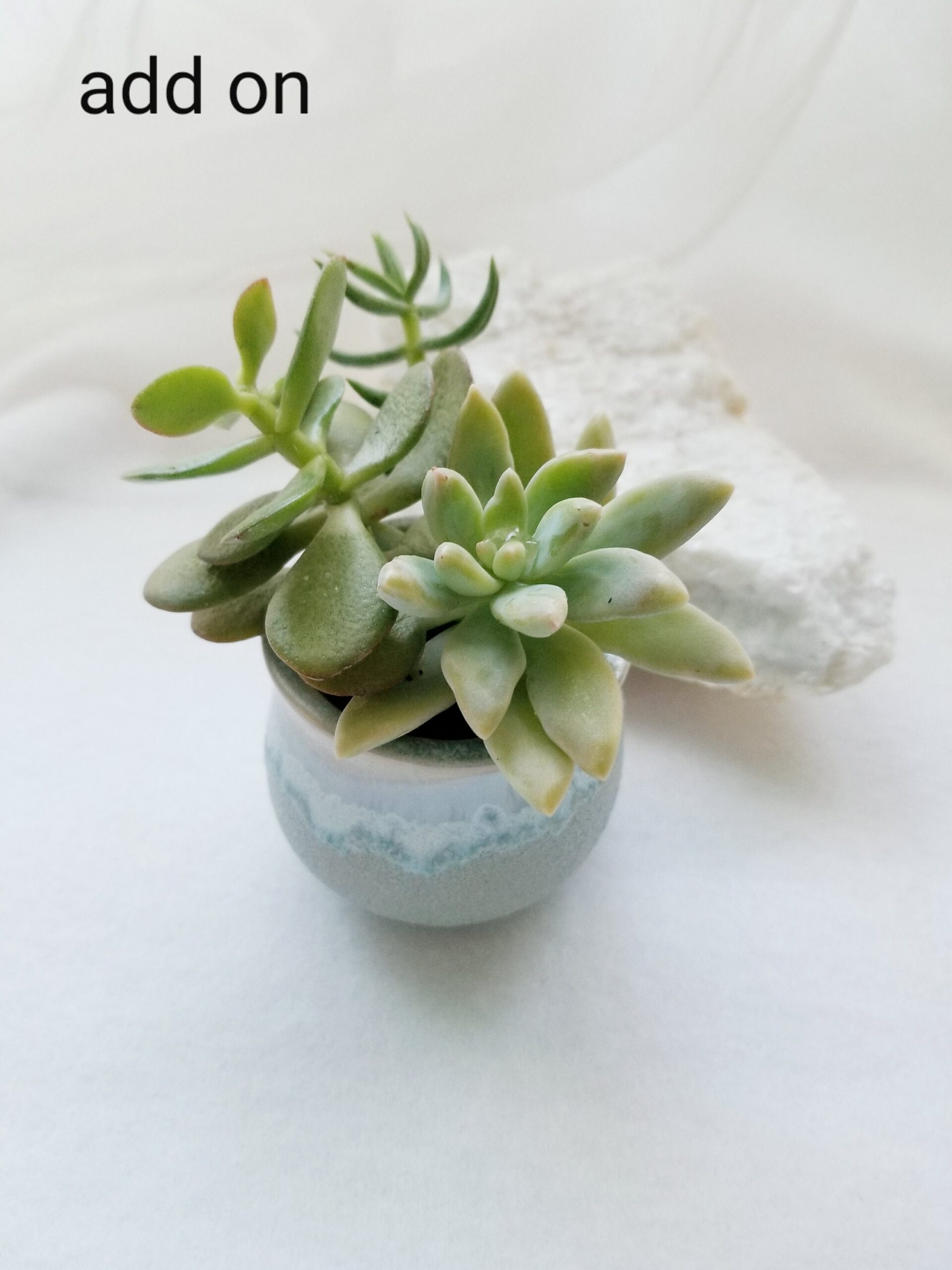 Happy Retirement care package, Retirement gift basket, spa gift, good vibes gift box, send a gift, encouragement gift box, live succulent.