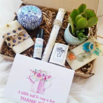 Thank you gift box, succulent care package, appreciation gift, corporate gift idea, employee thank you gift, send a gift, thank you present.